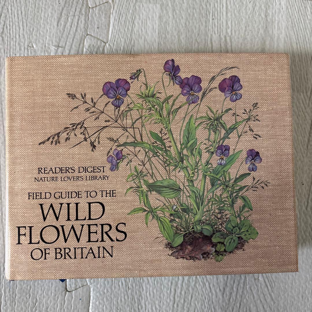 美月　3冊セット