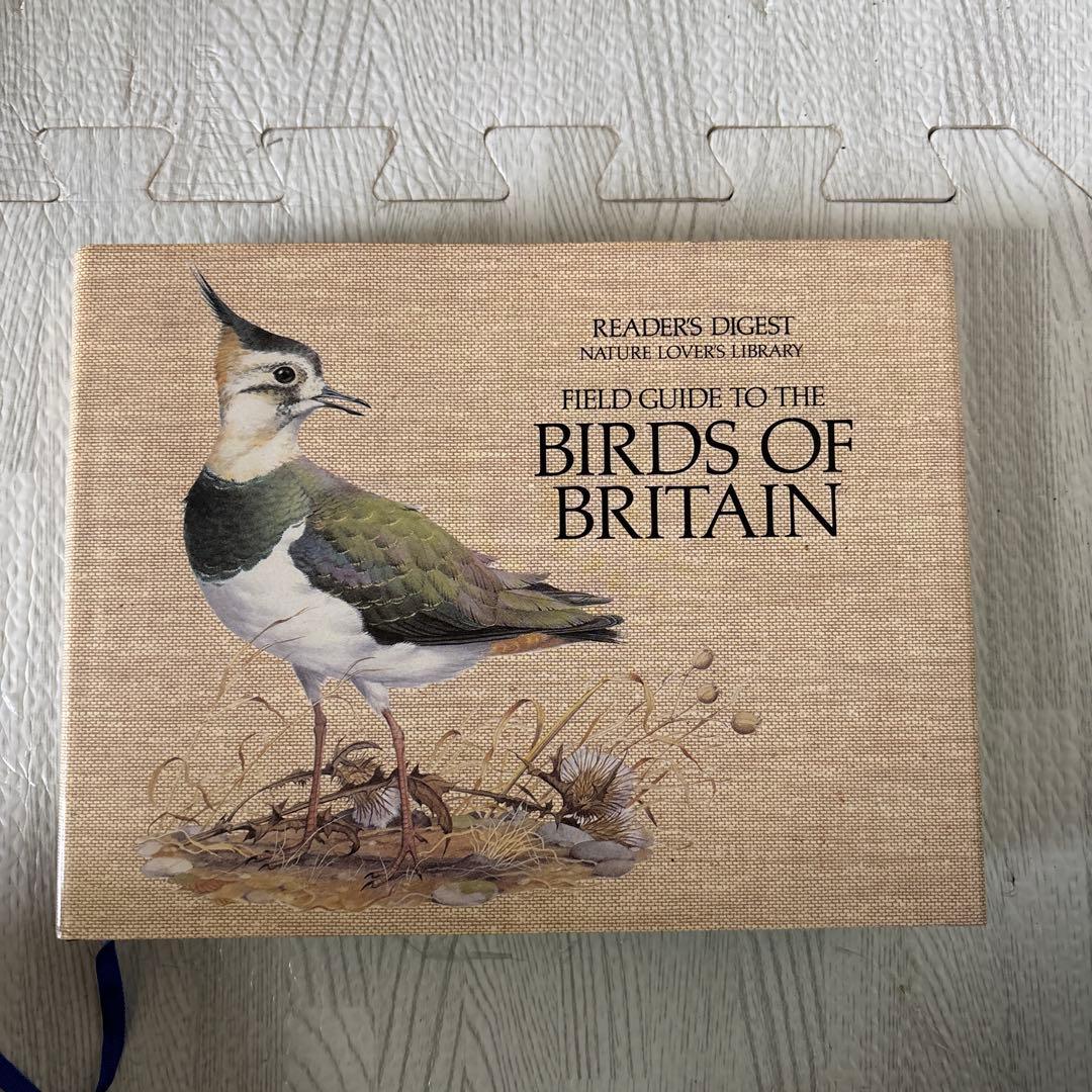 美月　3冊セット