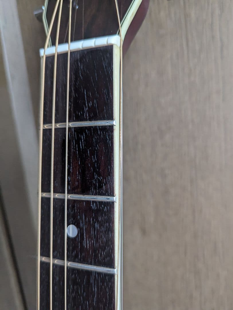 ♪Morris TF-50SP スペシャル・ハカランダ・トップ単板♪