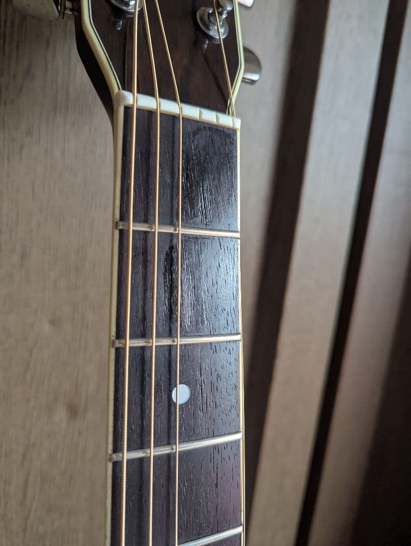 ♪Morris TF-50SP スペシャル・ハカランダ・トップ単板♪