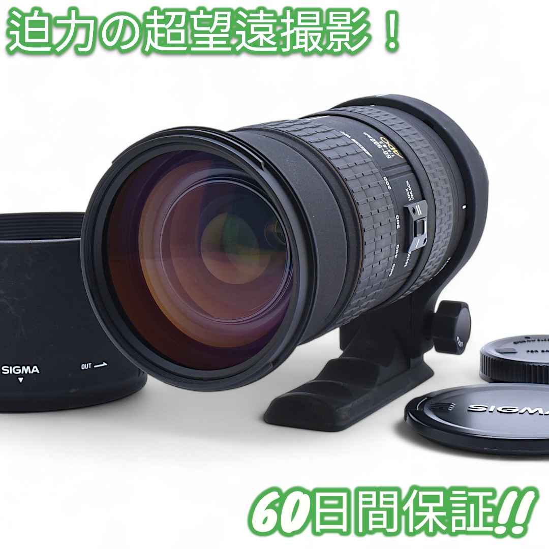 美品 Sigma APO 50-500㎜ F4-6.3 Canon #9025