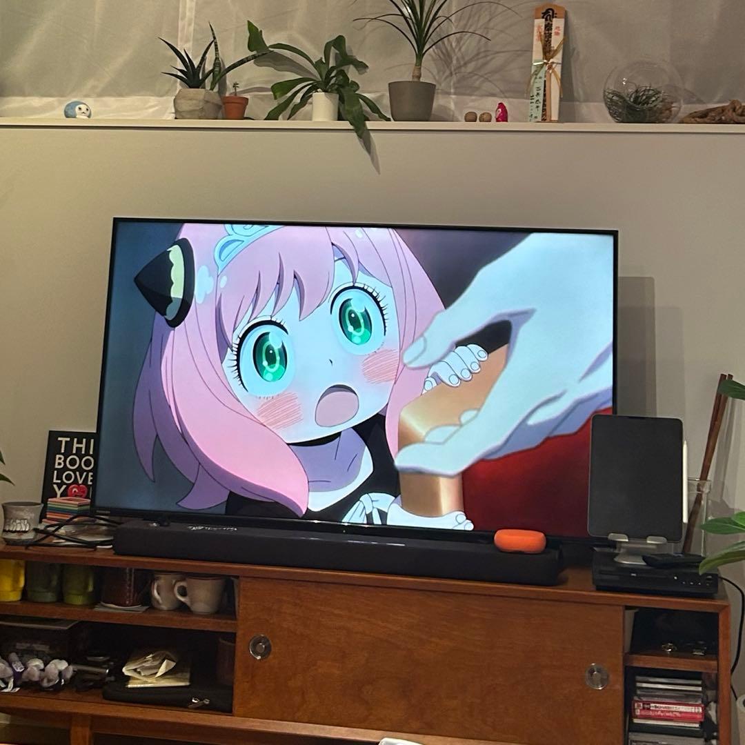 レグザ 50V型 4K 液晶テレビ 50C350X 4K