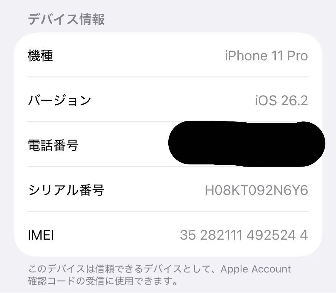 子*孫様 iPhone11Pro 256GB 本体