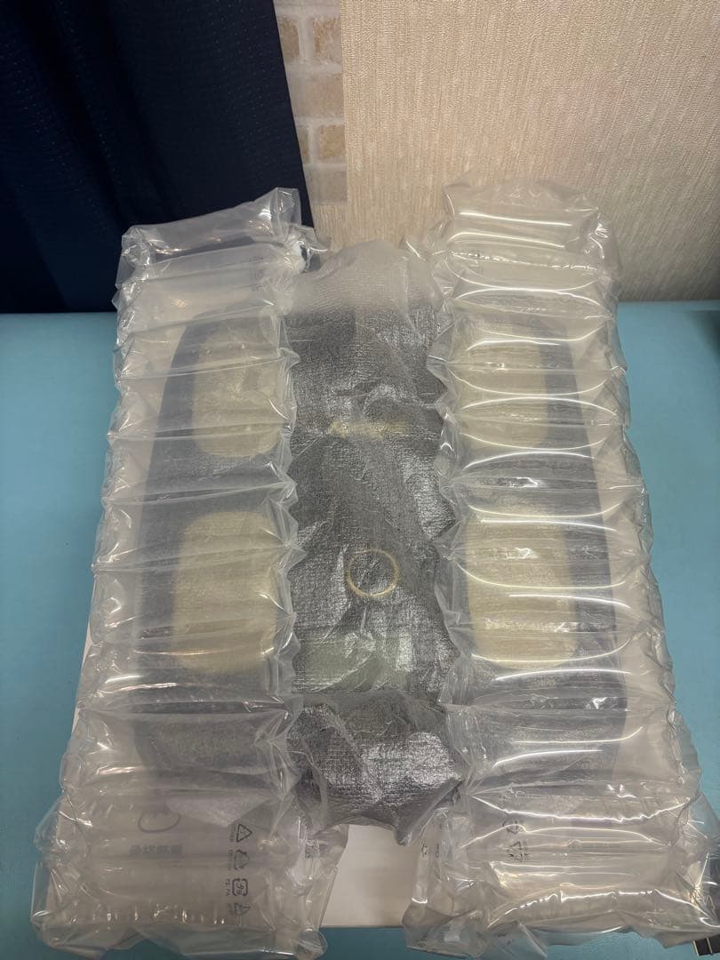 InBodyH20N 体組成計