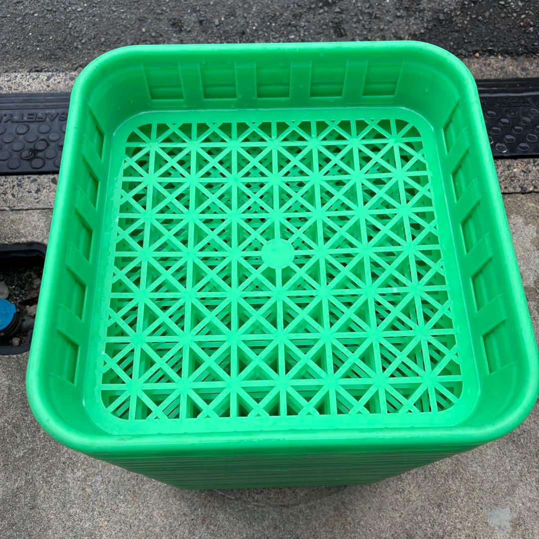 専用2個口【中古菌糸コンテナL34個】 ブローや菌床ボトルの整理に最適