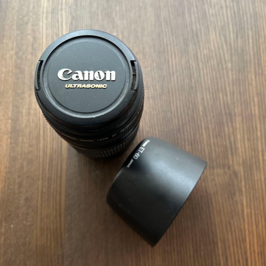Canon EF 75-300mm f4-5.6レンズ