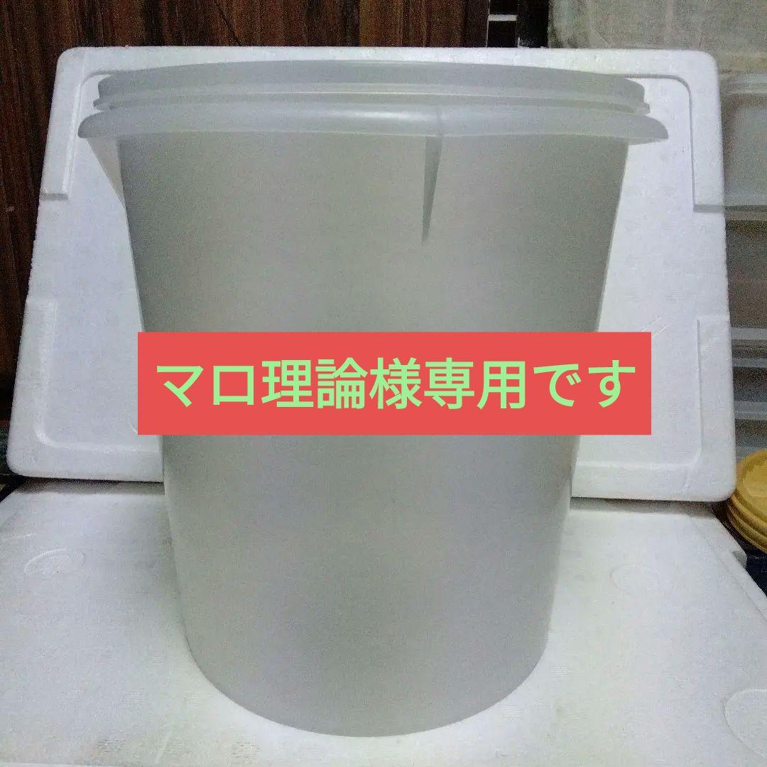 マロ理論　円形食品保存容器　4個セット