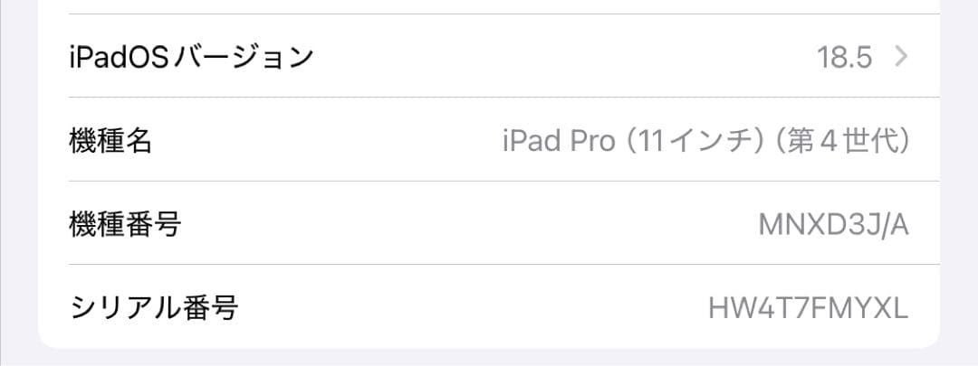 iPad Pro 11インチ(第4世代)128GB Wi-Fi Pencil付属
