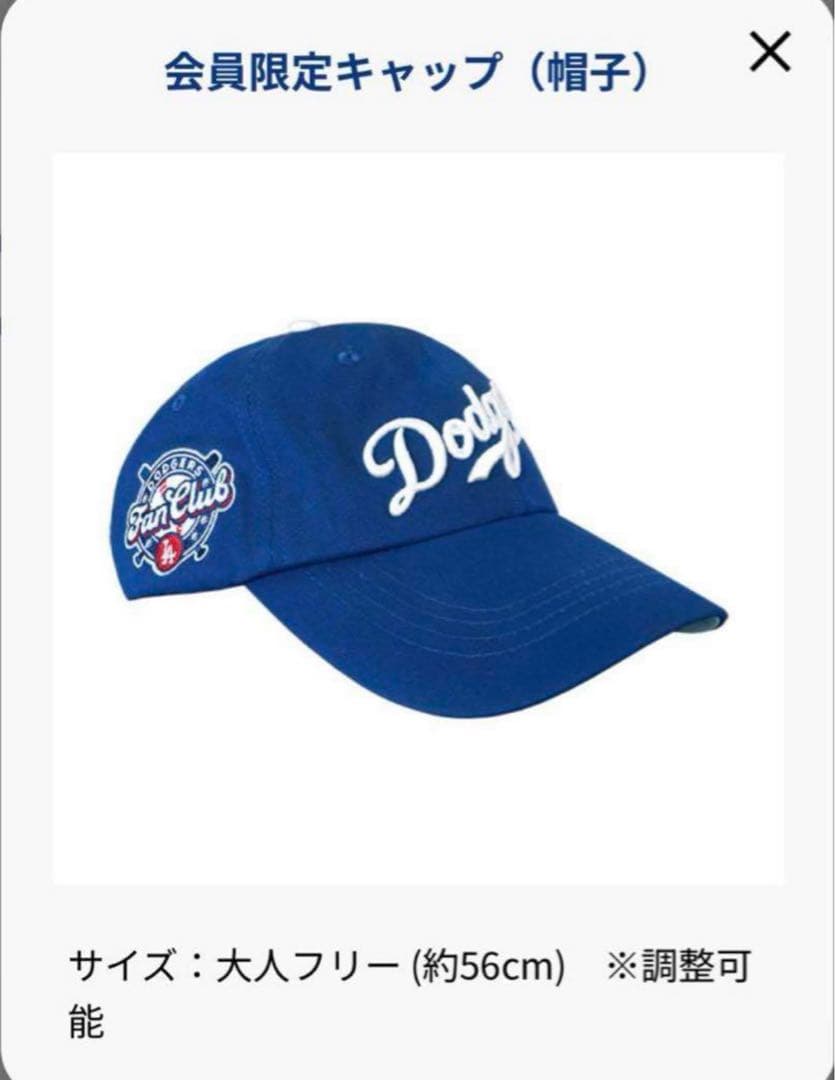 Dodgers Fan Club Boxドジャースファンクラブ 大谷翔平 限定
