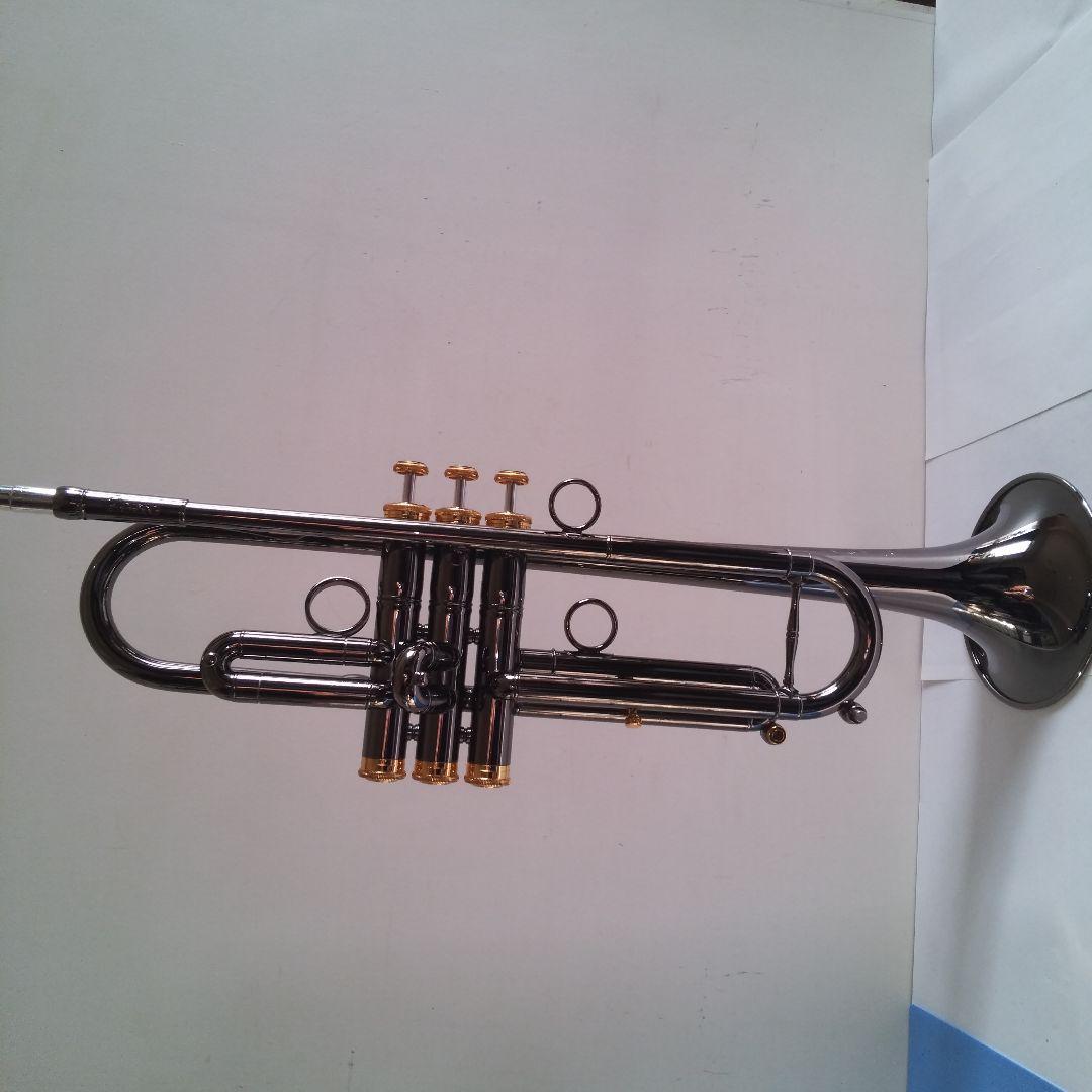 い*ん様 トランペット Queen Brass Zorro