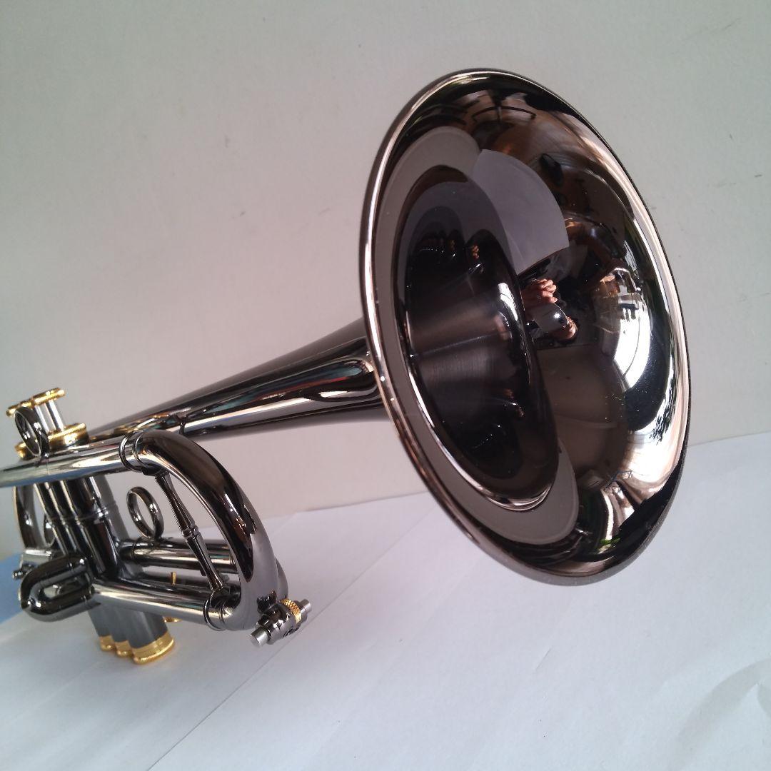 い*ん様 トランペット Queen Brass Zorro