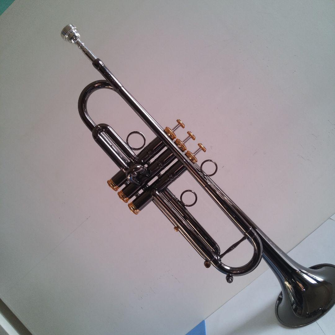 い*ん様 トランペット Queen Brass Zorro