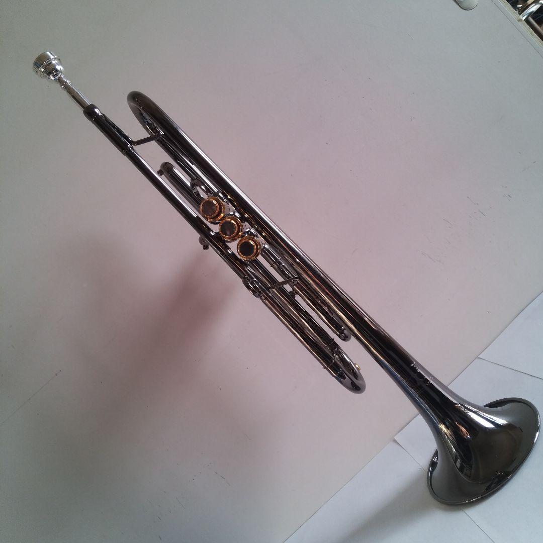 い*ん様 トランペット Queen Brass Zorro