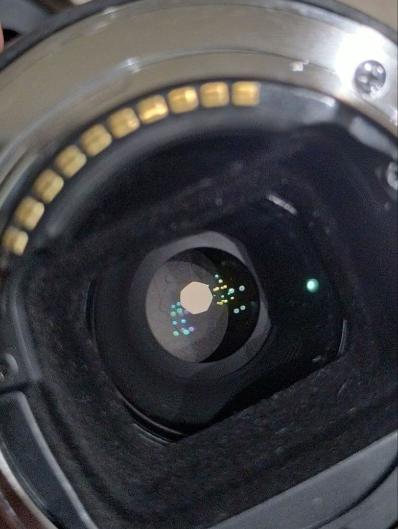 レンズ(単焦点) SONY FE 50mm F2.8 MACRO SEL50M28