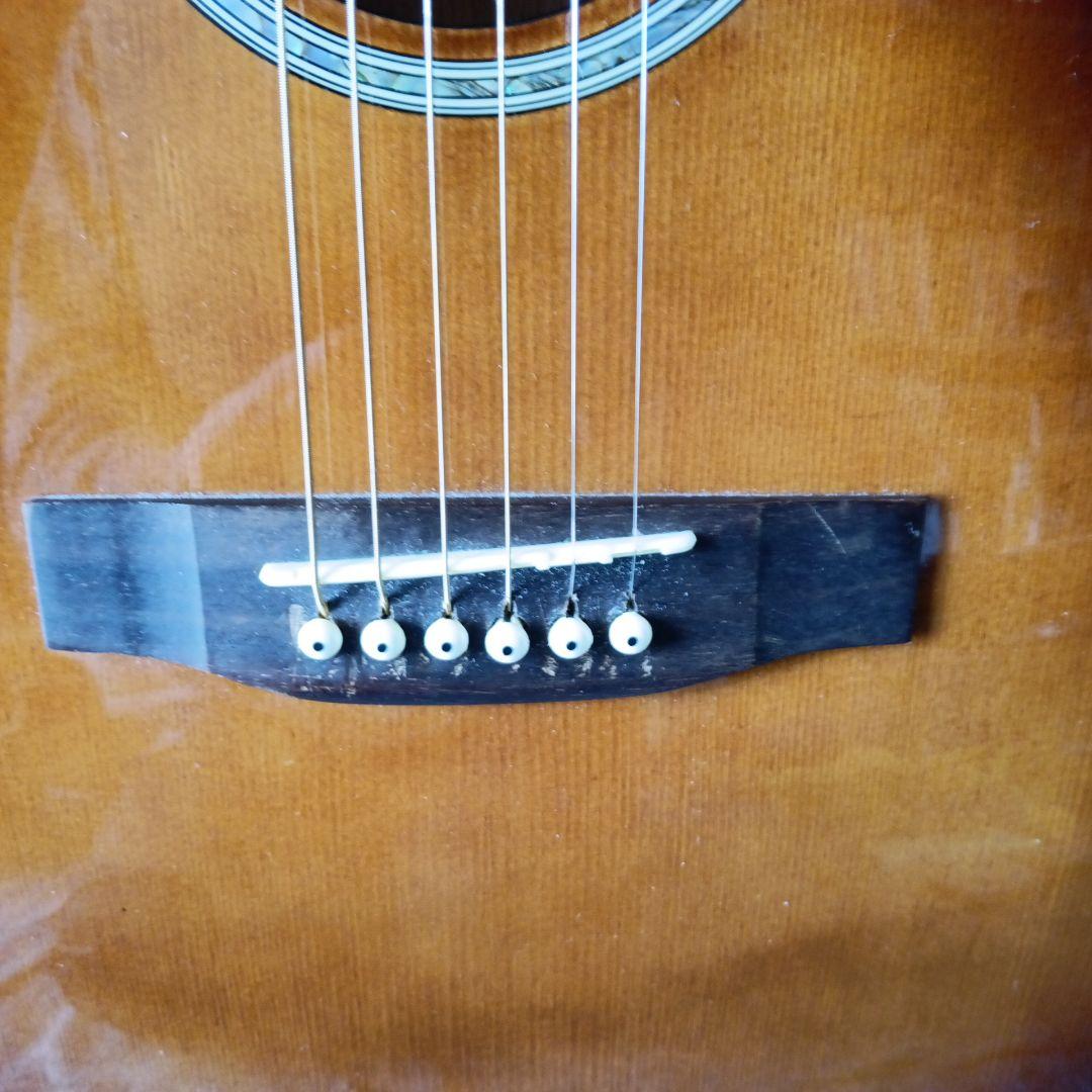 Cooder TCP480 A5G エレキアコースティックギター