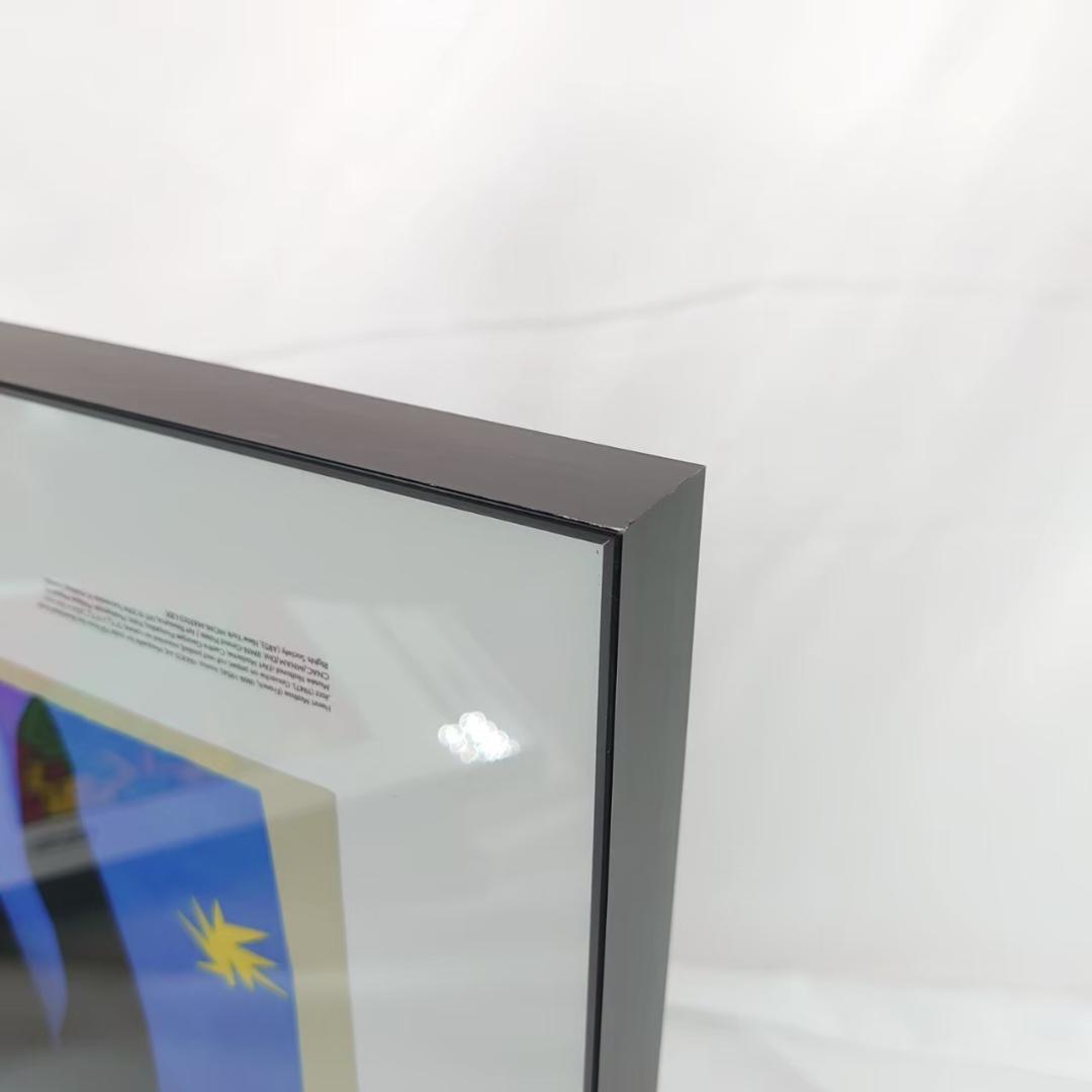 アンリ・マティス THE CUT-OUTS 額装ポスター