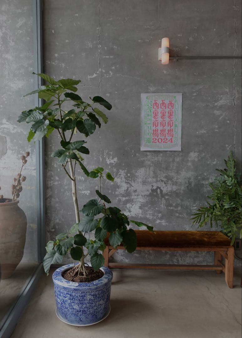 【美品】SONY ZV-1 VLOGカメラ ソニー