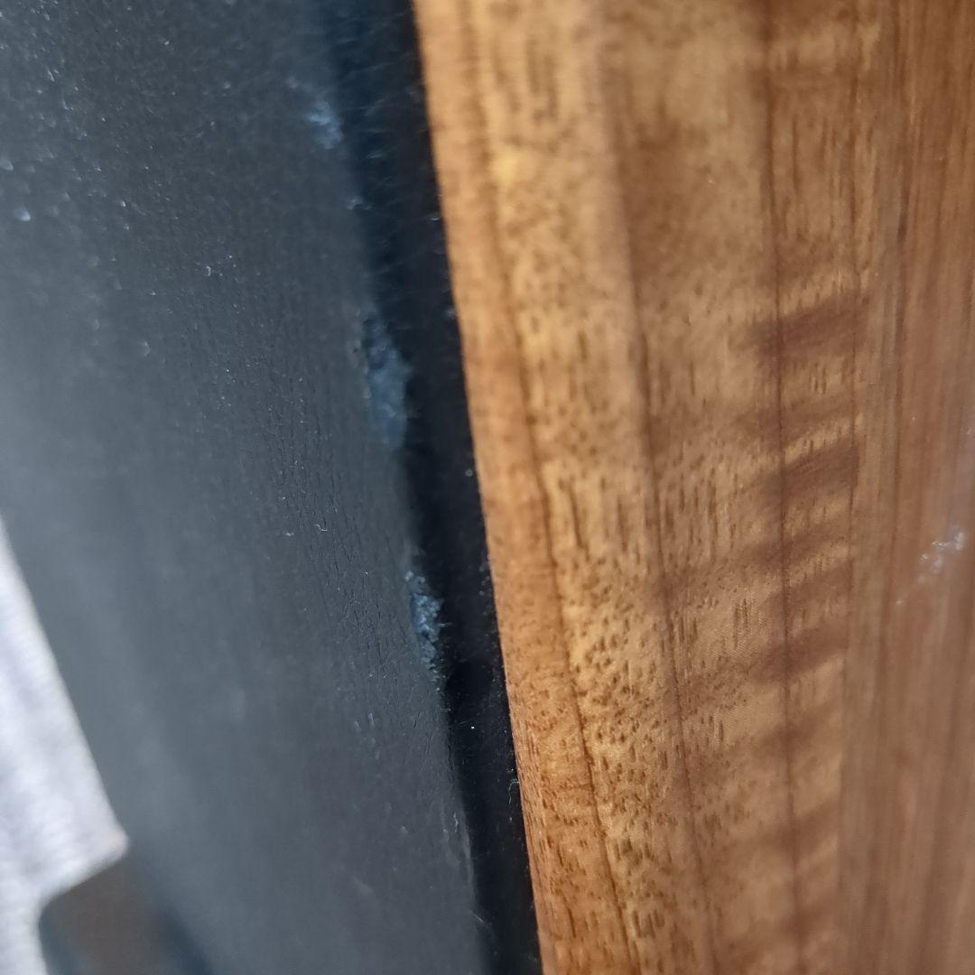 【分売可能】オーディオ プロ audiopro AVANTO FS-20