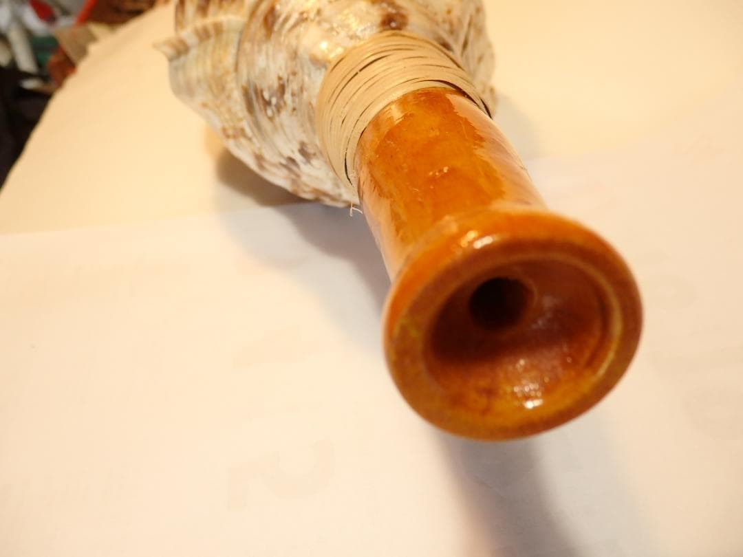 法螺貝 約40㎝ 木製歌口,新品 MH-469