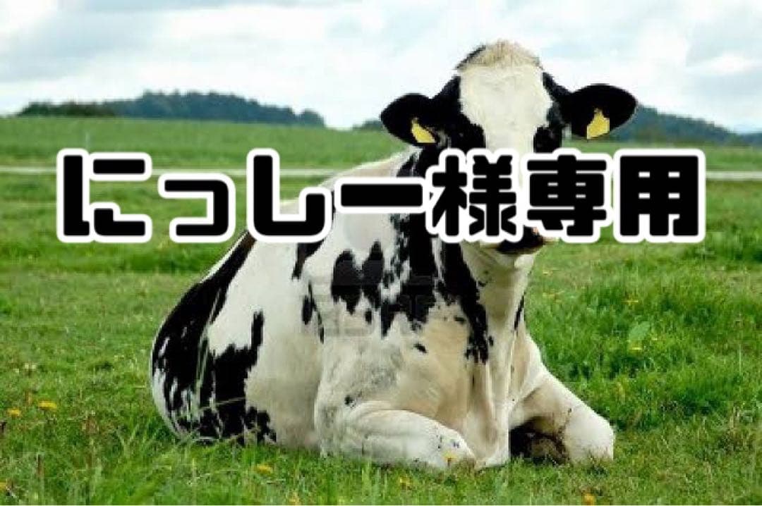 赤10、ダークワイン10、幅広黒5、パープル10、グリス500g