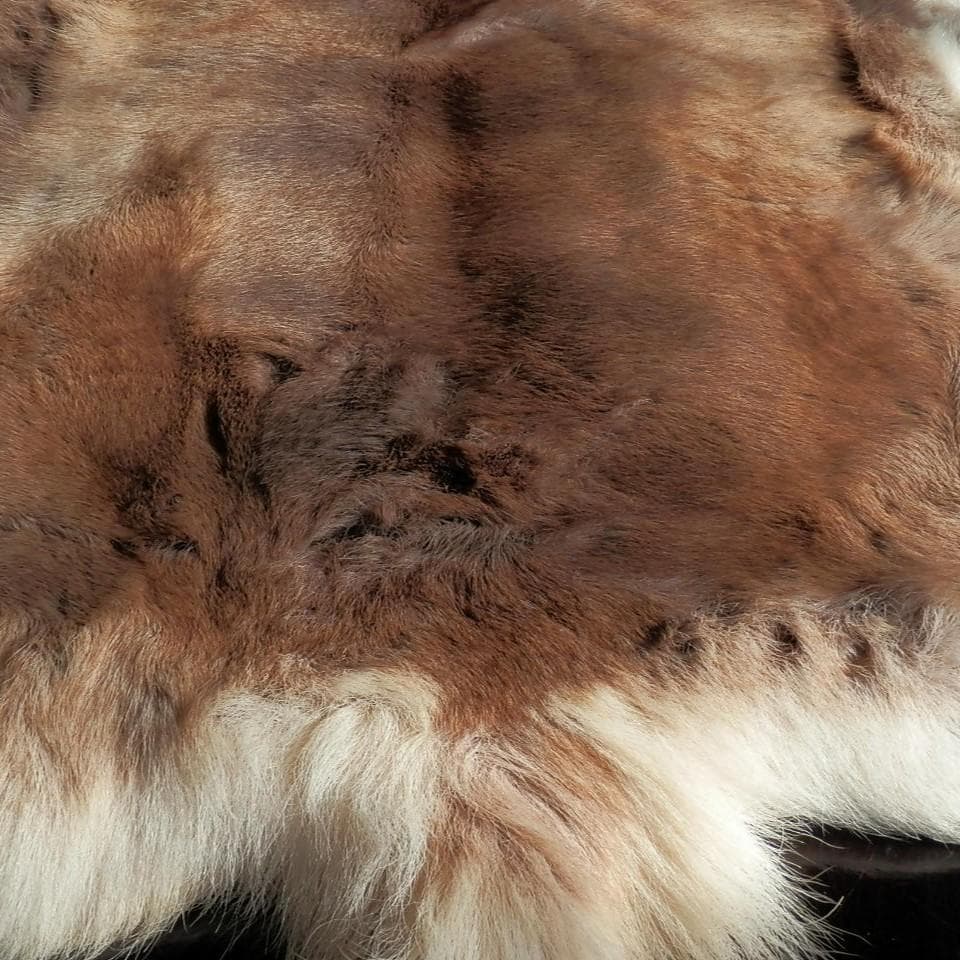 トナカイ毛皮　赤毛　きのこマット付き