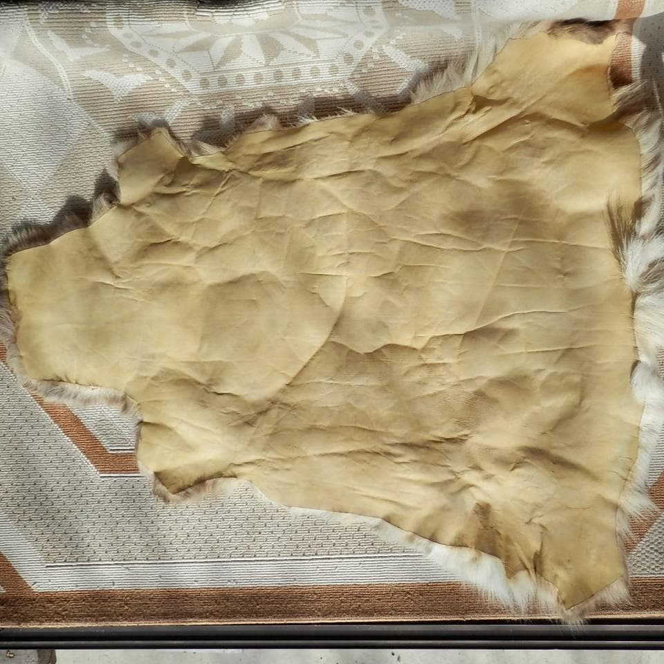 トナカイ毛皮　赤毛　きのこマット付き