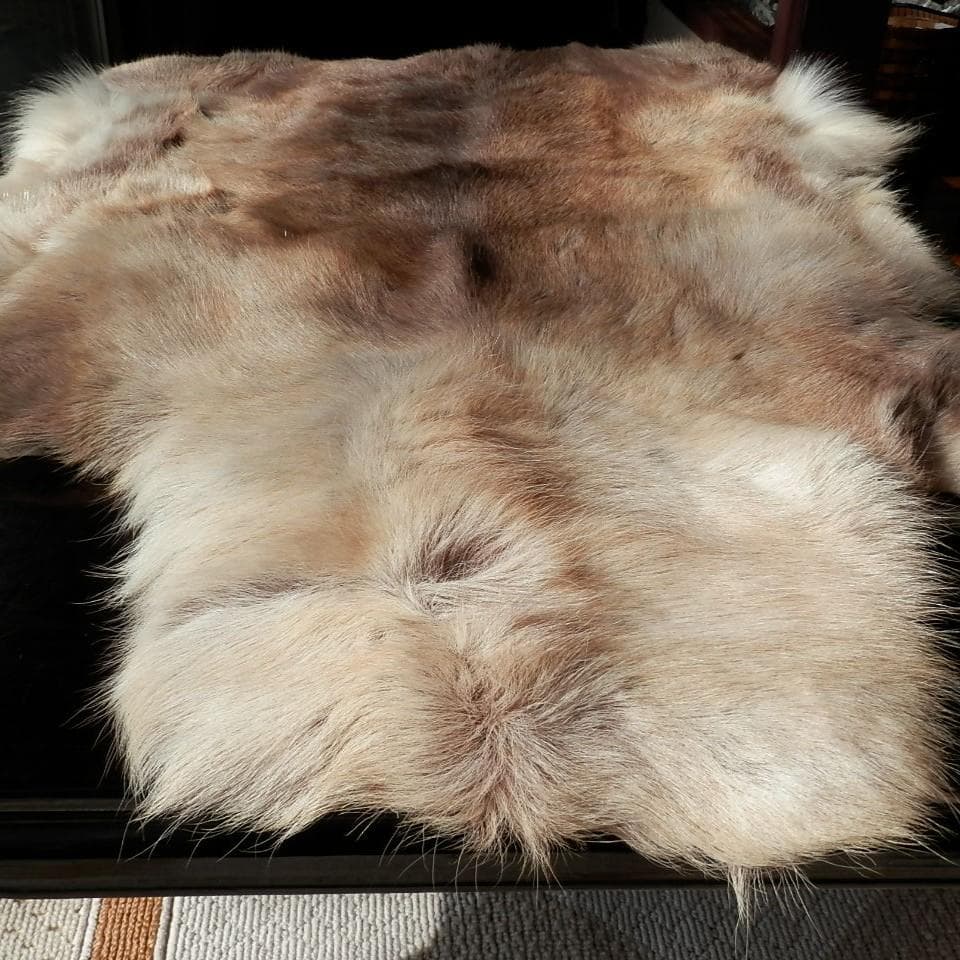 トナカイ毛皮　赤毛　きのこマット付き