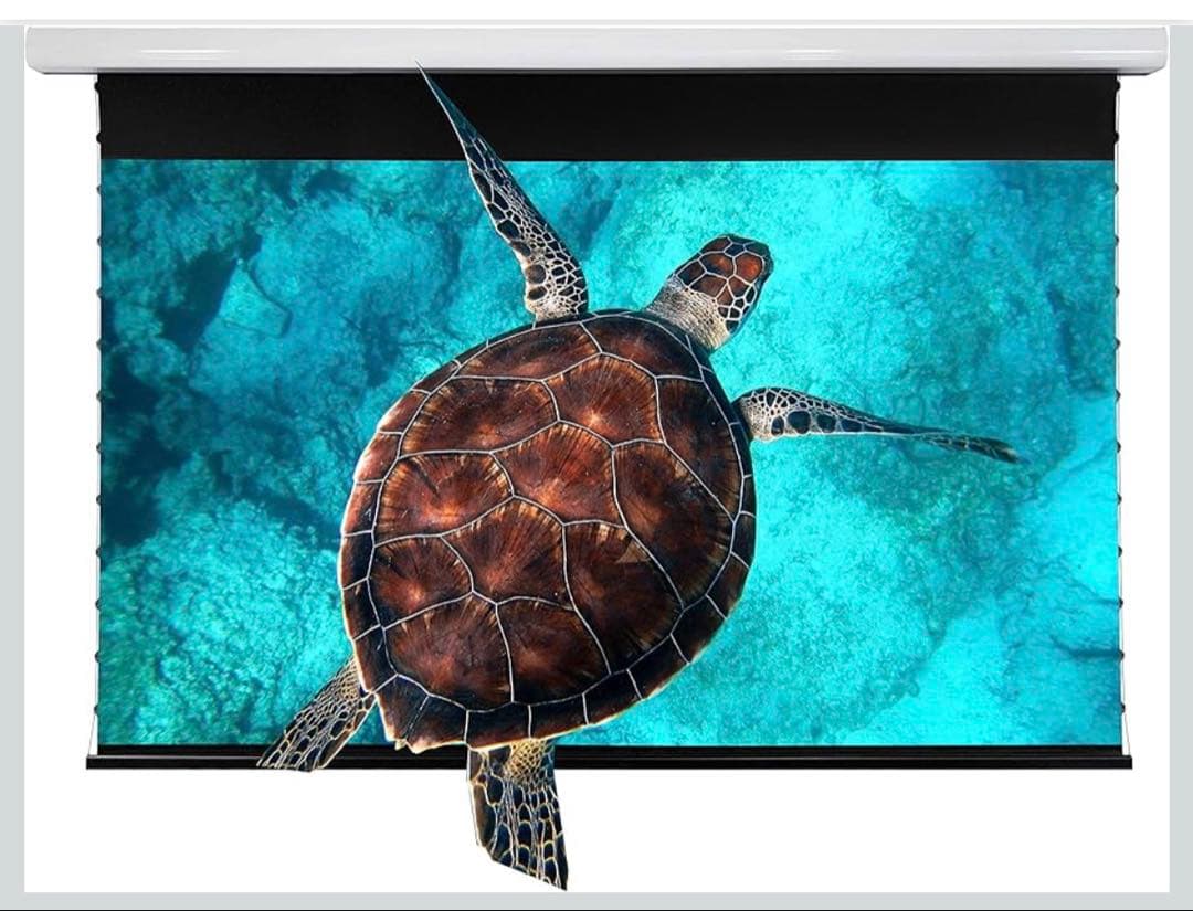 天吊り式 VIVIDSTORM SCREEN　84インチ