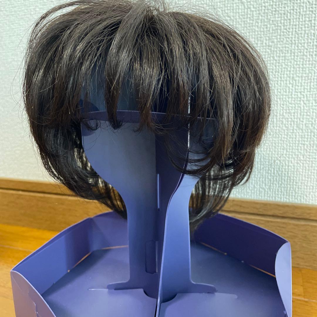 フォンテーヌ VALAN premium 高級ウィッグ VPD04 F4