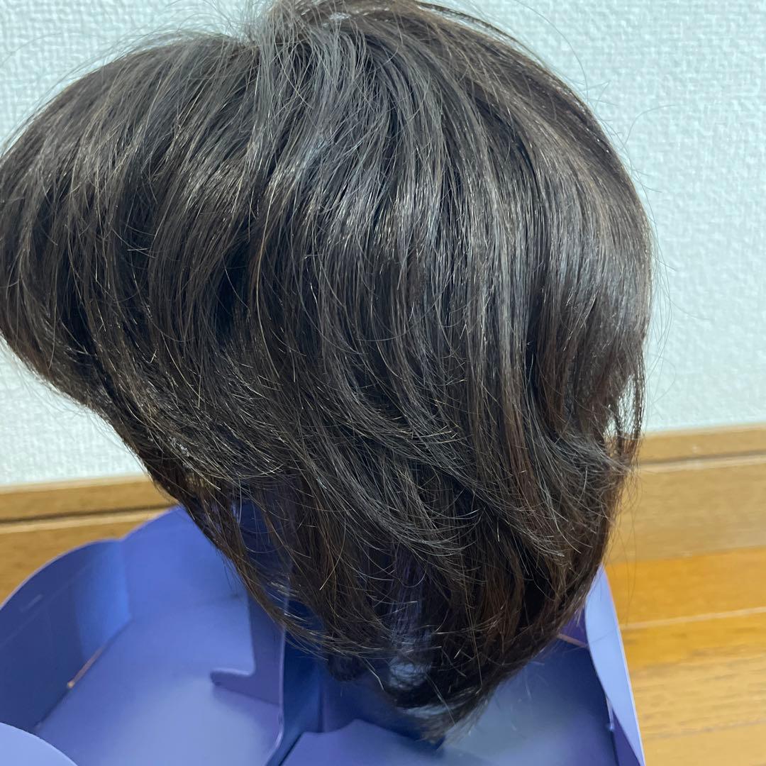 フォンテーヌ VALAN premium 高級ウィッグ VPD04 F4