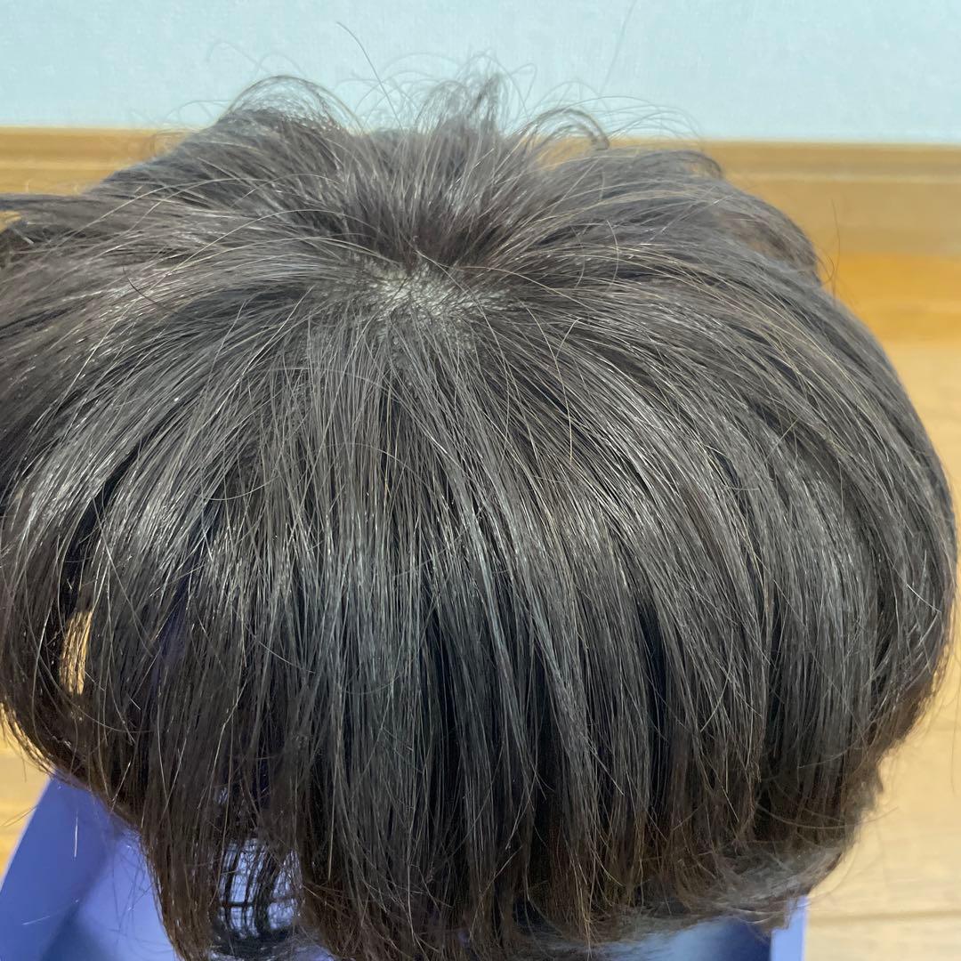 フォンテーヌ VALAN premium 高級ウィッグ VPD04 F4