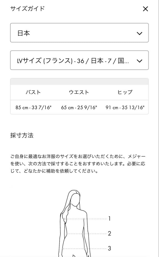 Louis Vuittonモノグラム セパレートビキニ 36