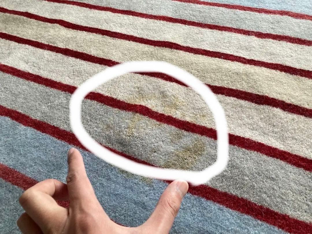 グッドデザイン賞　ハグみじゅうたん　LOHAS 天然素材　ラグ　絨毯