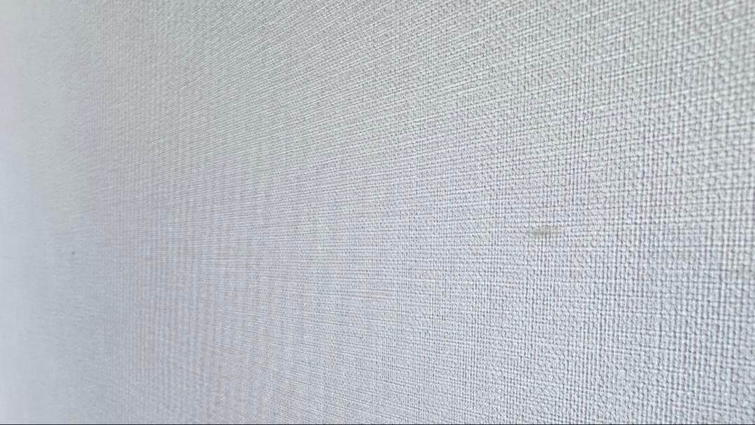 XGIMI （エクス ジミー） HORIZON Proホームプロジェクター