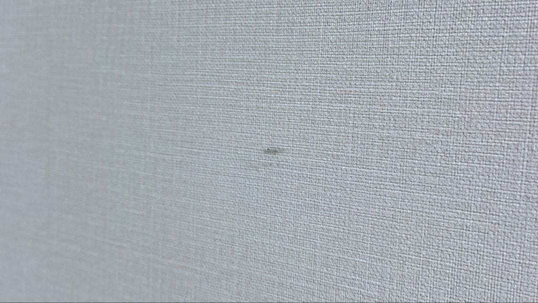 XGIMI （エクス ジミー） HORIZON Proホームプロジェクター