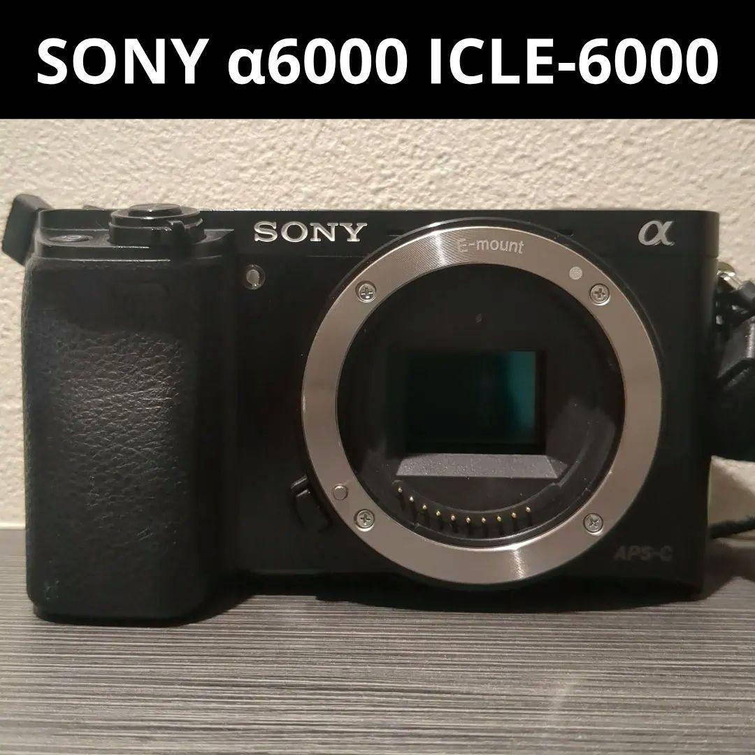 美品 SONY α6000 ILCE-6000 ミラーレス一眼 ボディ