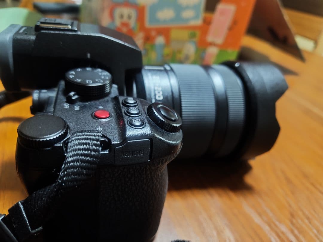 LUMIX LUMIXS5ⅱxと 28-200mmレンズ、純正ストロボ付き