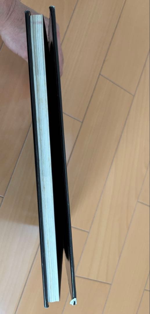 HARLEY DAVIDSON TC96 メカニズムとメンテナンス