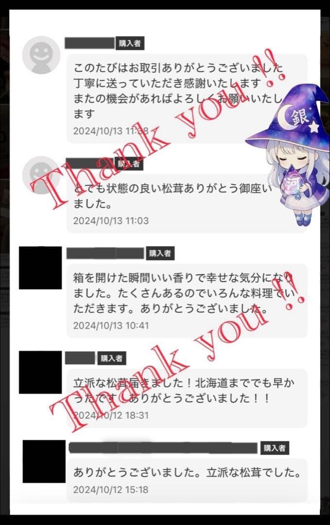 【大人気‼︎ 厳選 極上セット①】 400g本日採れ‼︎ 極上 松茸◆クール便発送◆