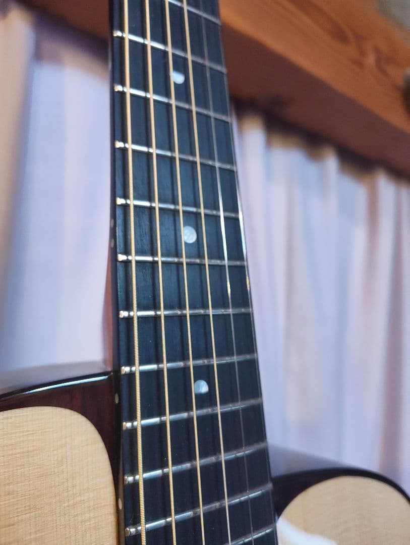 アヌエヌエ　aNueNue aNN-L200E 杉田健司　新品同様　オール単板