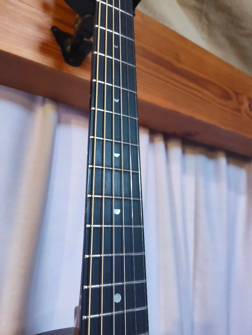 アヌエヌエ　aNueNue aNN-L200E 杉田健司　新品同様　オール単板