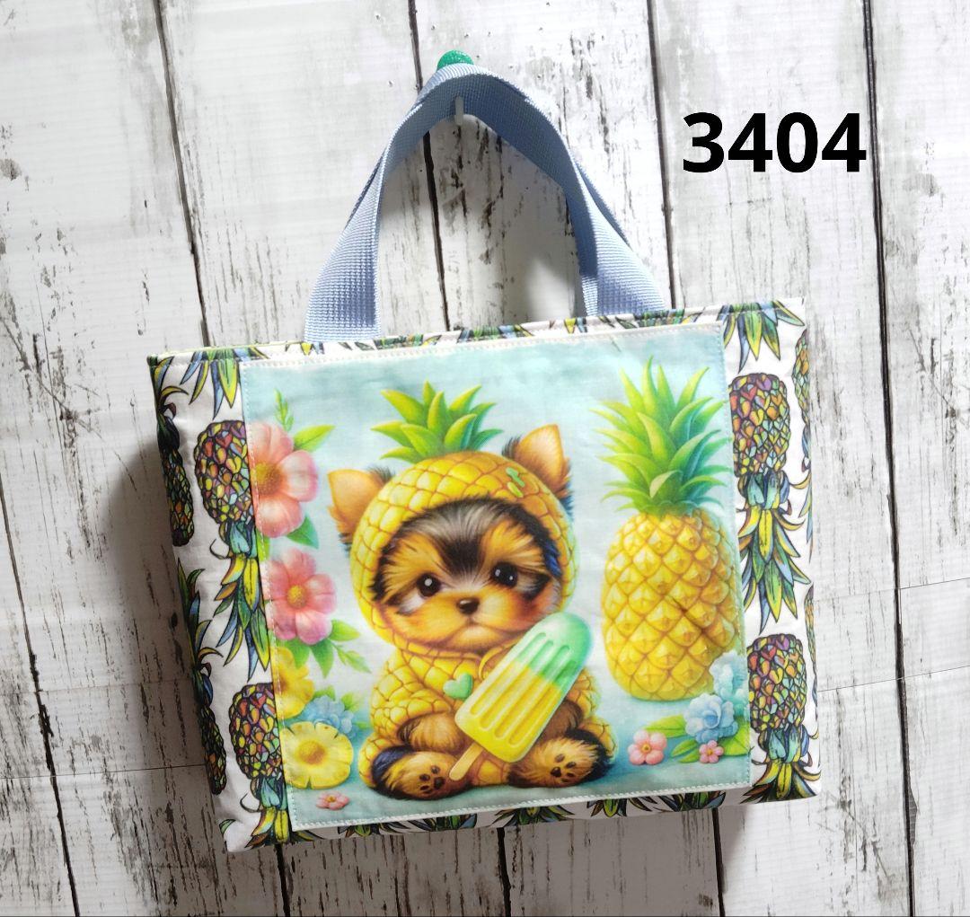 2197　2893　2897　3008　3225　3404　3563　3870