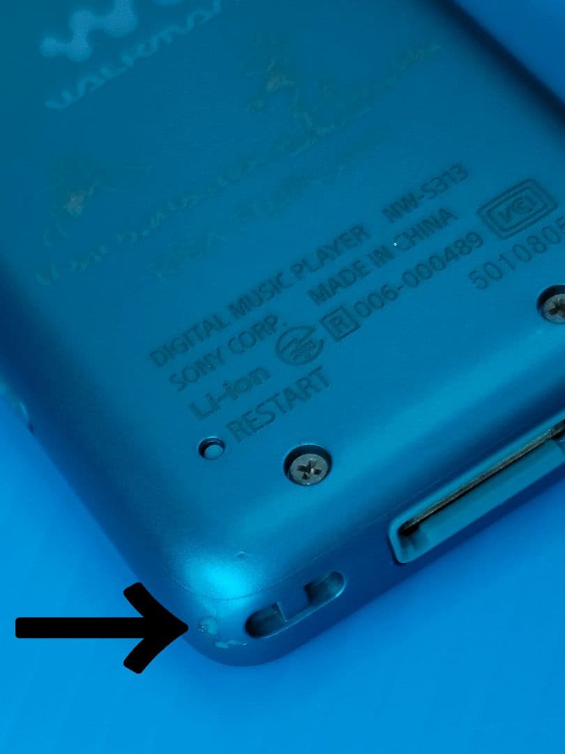 SONY WALKMAN NW-S313K「SNOOPY Style …