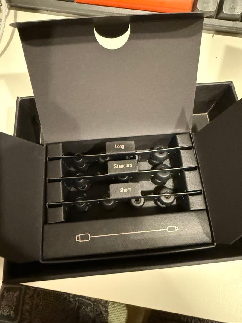 Audio-Technica ATH-TWX9 完全ワイヤレスイヤフォン