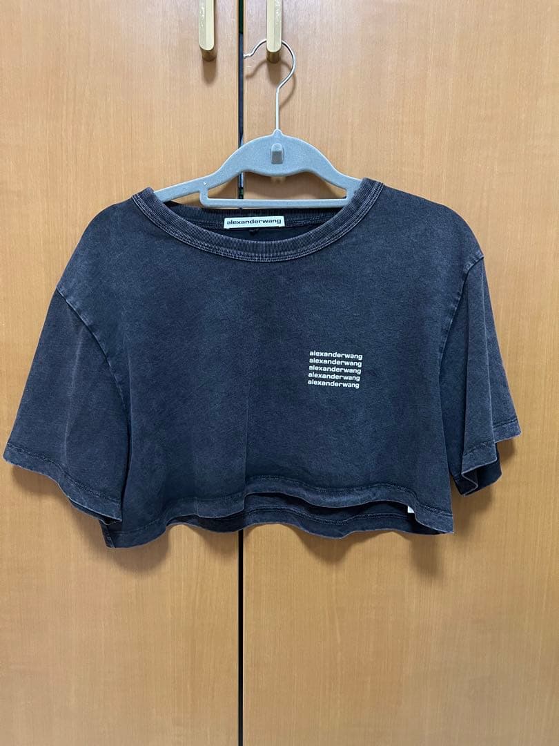 アレキサンダーワン Tシャツ Sサイズ(お値下げ不可)