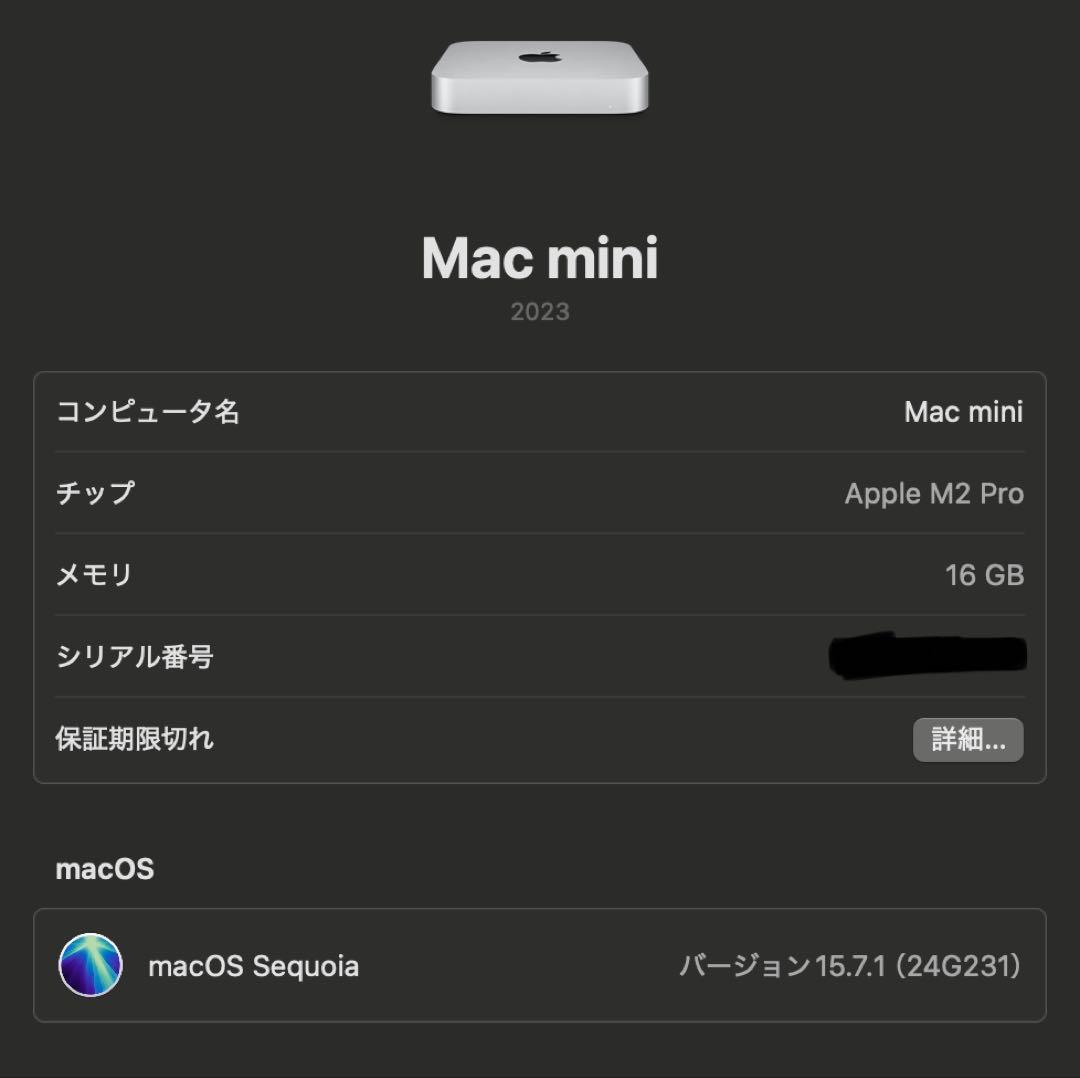 Macデスクトップ Mac mini M2 Pro 16GB 1TB 2023