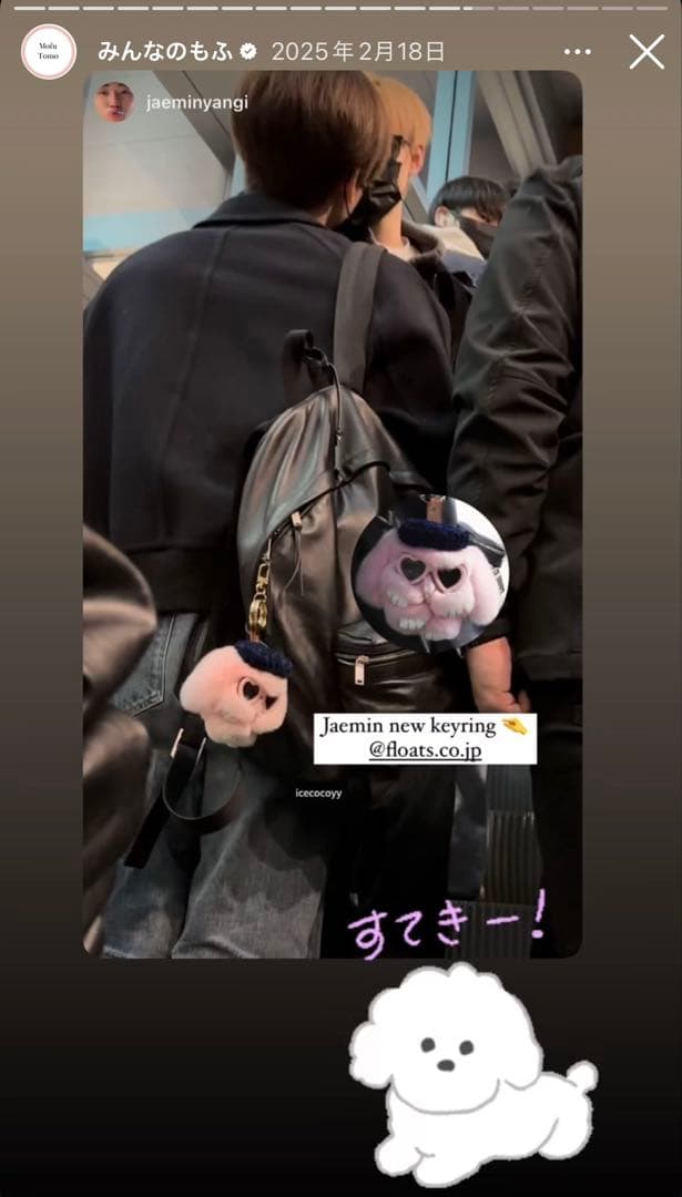 フローツ もふもふバックチャーム チョコミント