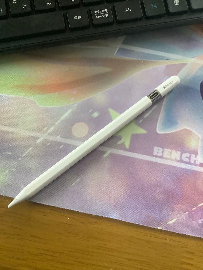 Apple Pencil USB-C 正規品　純正