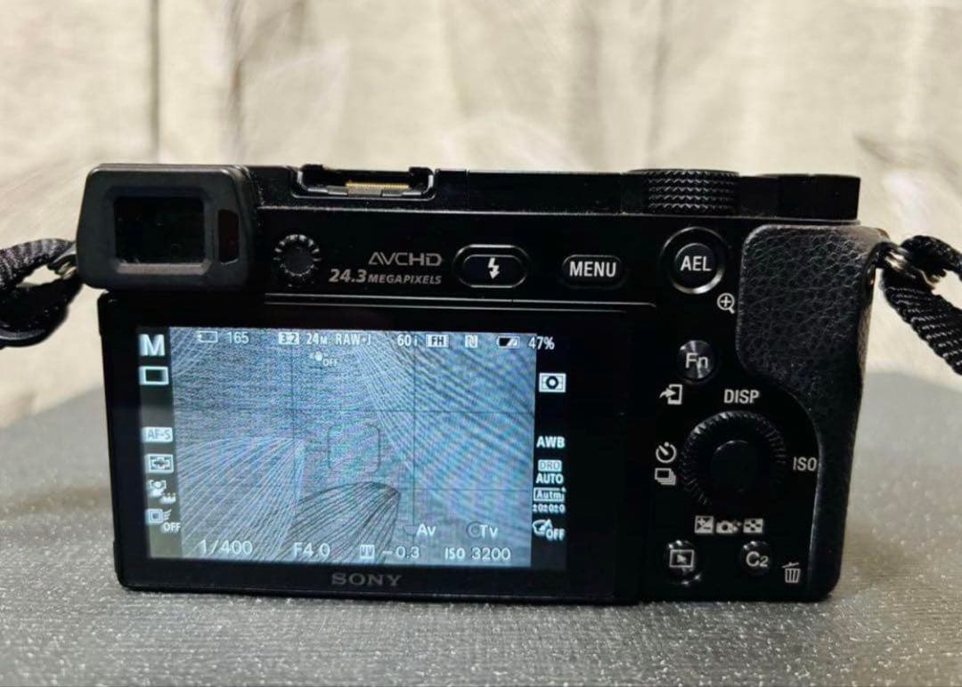 「WAS」SONY α6000 ミラーレス一眼 24.3MP