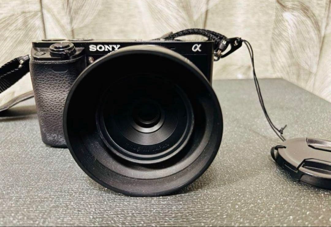 「WAS」SONY α6000 ミラーレス一眼 24.3MP